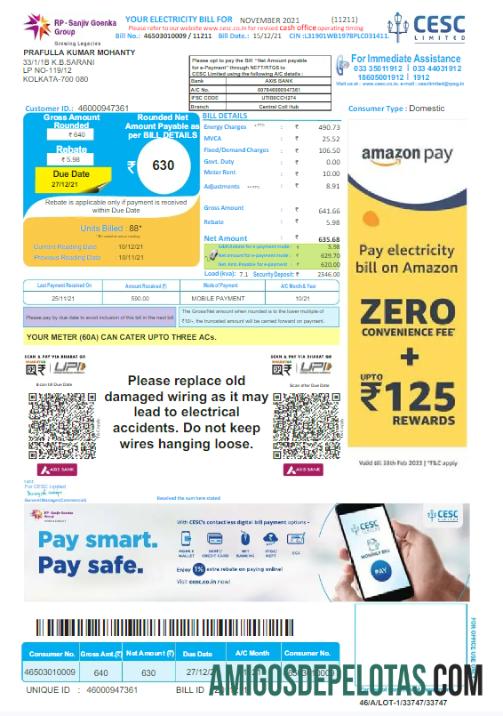 realista INDIA CESC LIMITED Modelo Word e PDF de fatura de serviços públicos, versão 2
